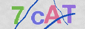 Obraz CAPTCHY